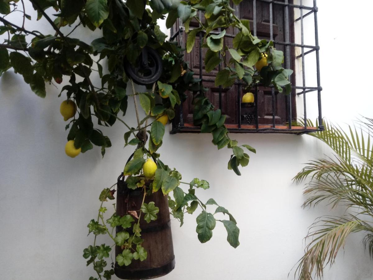Fery & Nico Apartment Granada Exterior photo